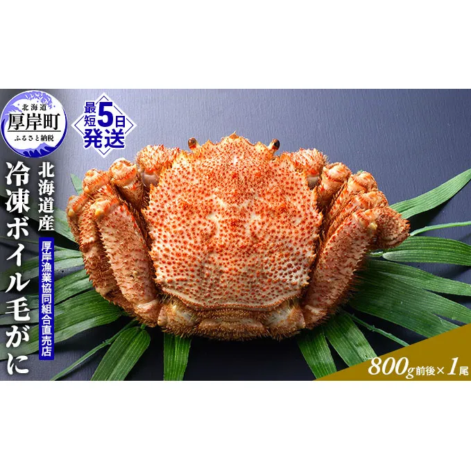 【3D冷凍】北海道産 冷凍ボイル毛がに 800g前後×1尾 毛カニ 蟹 毛ガニ カニ かに 