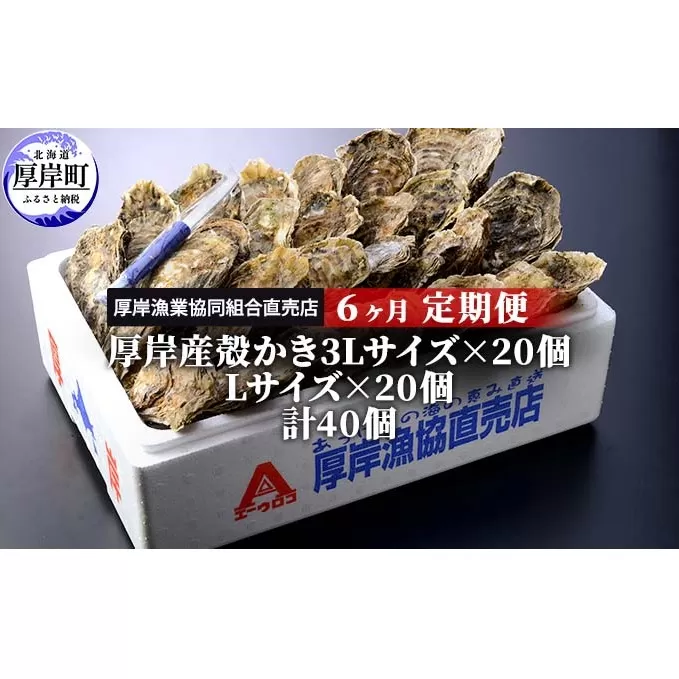 定期便 6ヶ月 北海道 厚岸産 牡蠣 3L 20個 と L 20個 ひと月あたり40個お届け (各回40個×6ヶ月分,合計240個) 殻付き 生食 かき カキ 魚貝類 生牡蠣 マルえもん