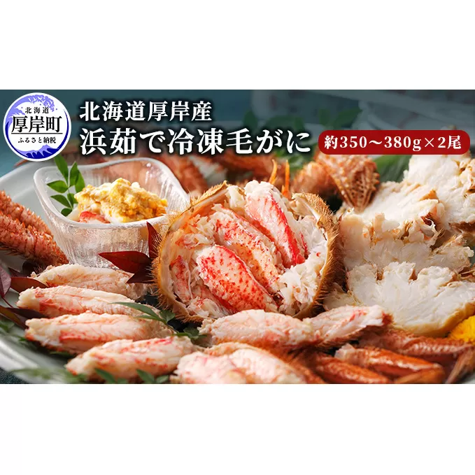 北海道厚岸産 浜茹で冷凍毛がに 350～380g前後×2尾 (合計700～760g前後) 毛カニ 蟹 