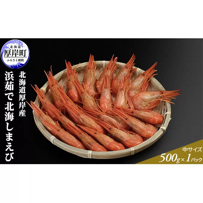 季節限定 北海道 厚岸産 浜茹で 北海しまえび（中サイズ）500g×1パック 海老 エビ 