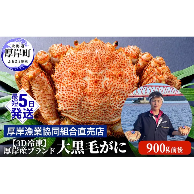 【3D冷凍】厚岸産ブランド 大黒毛がに 900g前後 毛カニ 蟹 かに カニ 