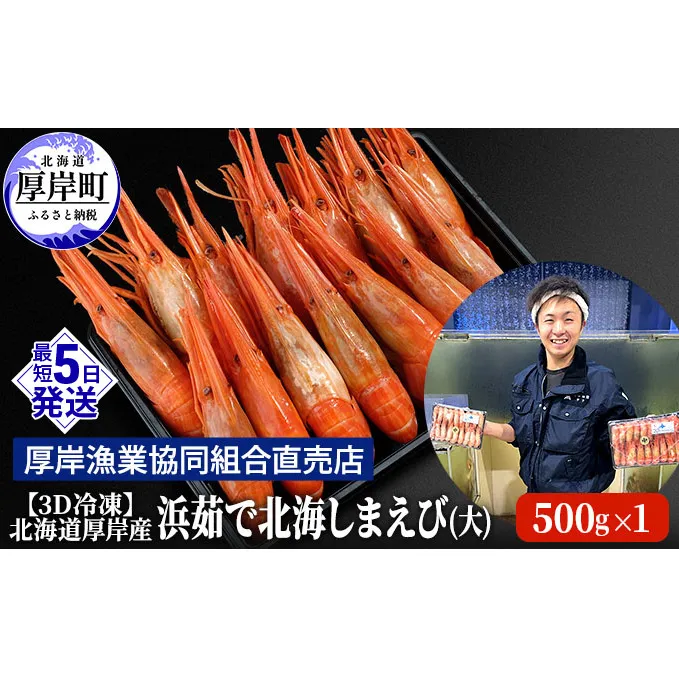 えび 3D冷凍 北海道 厚岸産 浜茹で 北海しまえび 大サイズ 500g (25尾前後) 海老 エビ 