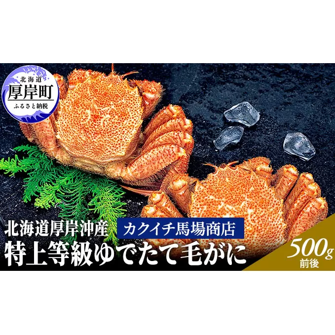 先行予約 蟹屋厳選　北海道 厚岸沖産　特上等級 ゆでたて 毛がに (500g前後×2尾 蟹 毛カニ 毛ガニ 冷蔵 茹でガニ 