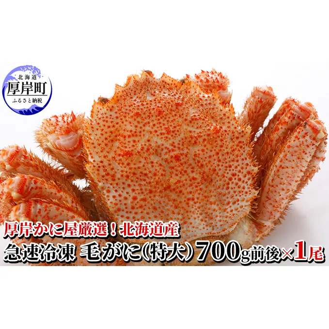 かに屋厳選 北海道産 急速 冷凍 毛がに（特大）700g前後×1尾 蟹 かに　 海の幸 海鮮 国産 準備 お祝い メニュー 親戚 集まり つまみ お酒 あて 急速冷凍 身 ぎっしり 