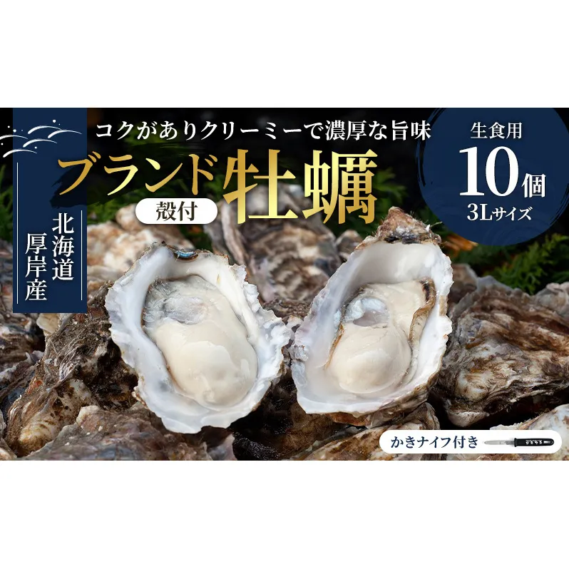 北海道厚岸産 生食用　殻付カキ3Lサイズ10個　マルえもん 魚貝類 海の幸 海のミルク 海鮮 国産 北海道産 オイスター つまみ お酒 あて 肴 生牡蠣 メルマガ掲載商品1