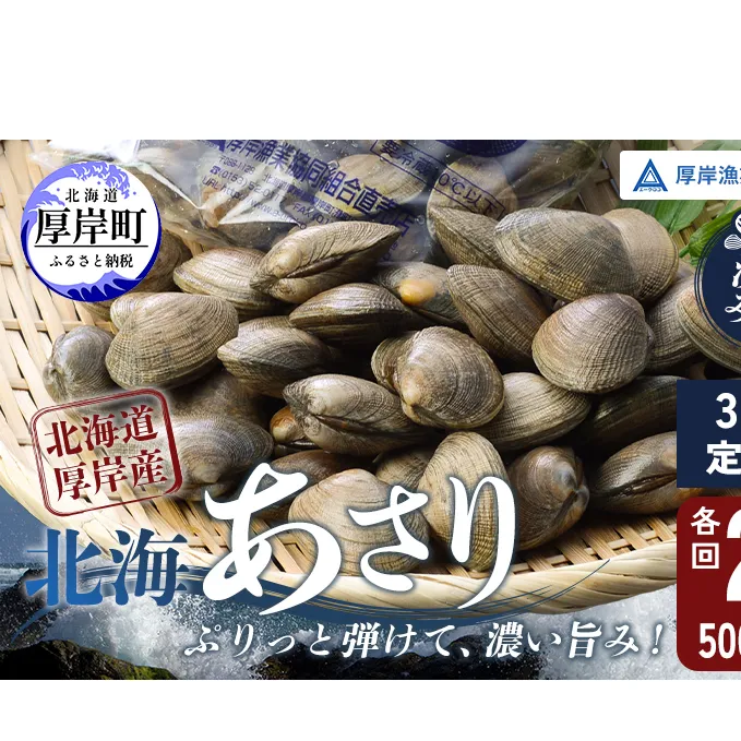 砂出し済み！ 北海道 厚岸産 北海あさり 2kgお届け (500g×4パック) 【 3ヵ月 定期便 】 (各回2kg×3ヶ月分,合計約6kg)