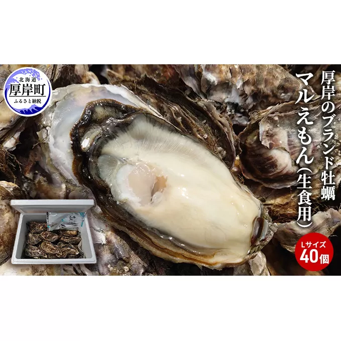 牡蠣 厚岸のブランド牡蠣 マルえもん Lサイズ 40個 生食用