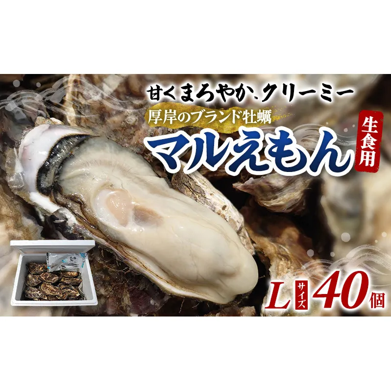 牡蠣 厚岸のブランド牡蠣 マルえもん Lサイズ 40個 生食用 魚貝類 海鮮 海のミルク 国産 生食用殻付き牡蠣 まろやか クリーミー 食べやすい品種 海の香り 牡蠣の酒蒸し 焼き牡蠣 マルえもん