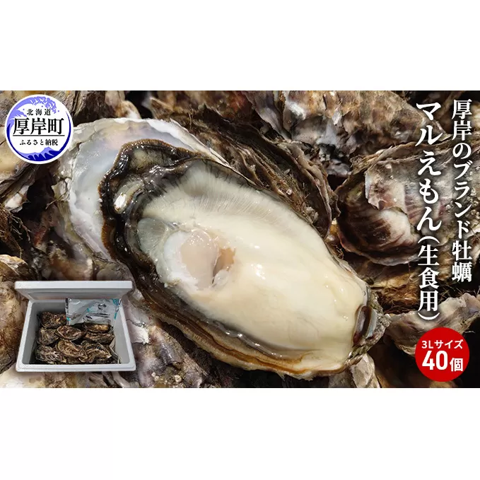 牡蠣 厚岸のブランド牡蠣 マルえもん 3Lサイズ 40個 生食用