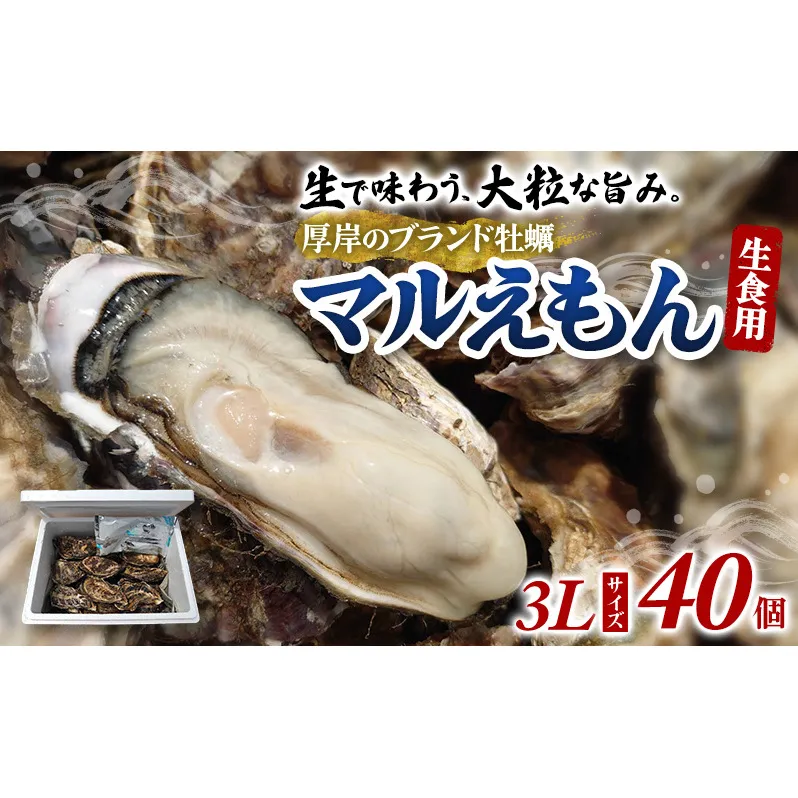 牡蠣 厚岸のブランド牡蠣 マルえもん 3Lサイズ 40個 生食用 魚貝類 海鮮 海のミルク 国産 生食用殻付き牡蠣 まろやか クリーミー 食べやすい品種 海の香り 牡蠣の酒蒸し 焼き牡蠣 マルえもん