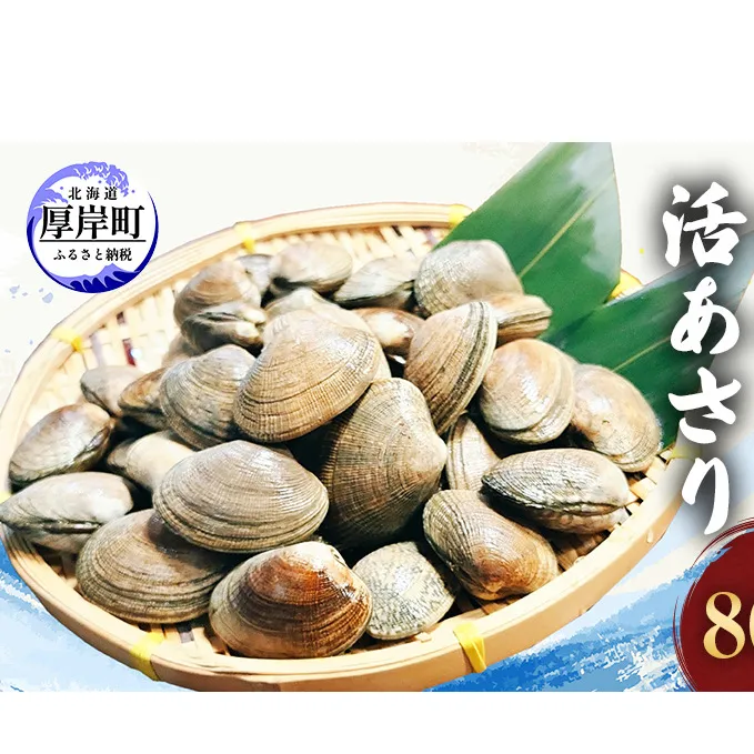 北海道 厚岸産 砂出し済み 活殻付き あさり 800g  新鮮 美味しい アサリ 貝 海鮮 北海道産 魚介 冷蔵 