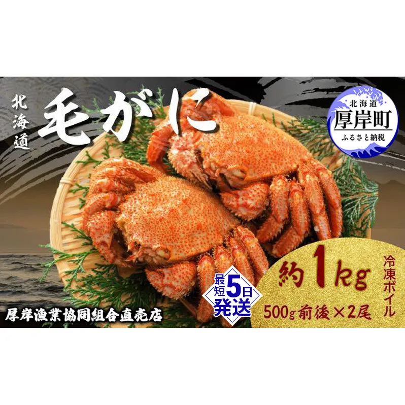 【3D冷凍】 北海道産 冷凍 ボイル 毛がに 500g前後×2尾 (合計1kg前後) 毛カニ 蟹 冷凍ボイル毛がに 毛ガニ カニ かに 