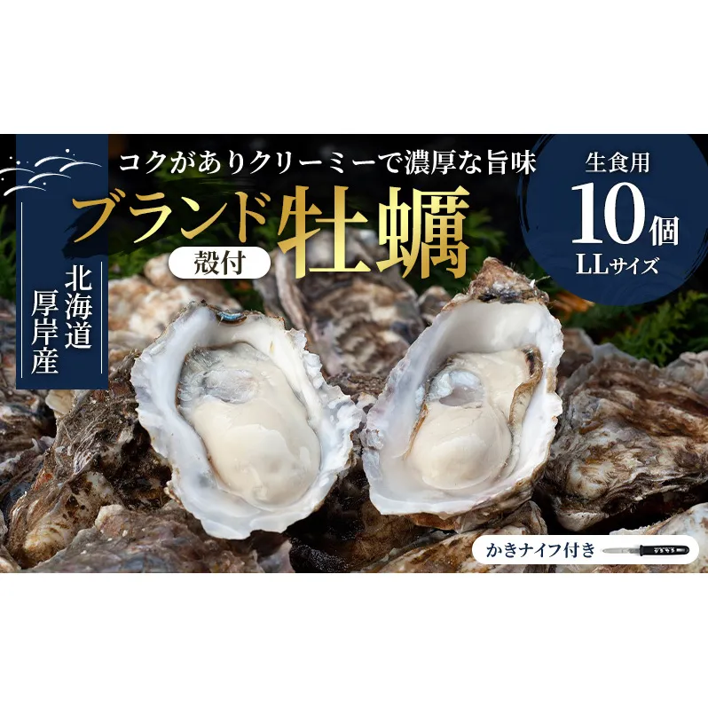 北海道 厚岸産 生食用 殻付カキ LLサイズ 10個 マルえもん 牡蠣 魚貝類 生牡蠣 かき