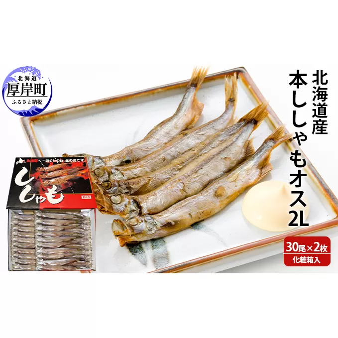 北海道産 本ししゃも オス2Lサイズ 30尾×2枚 化粧箱入 (合計60尾入り) 魚貝類 海鮮 海の幸 魚 魚料理 夕飯 夜ごはん おかず 食材 つまみ お酒のあて 肴 国産 国産シシャモ 