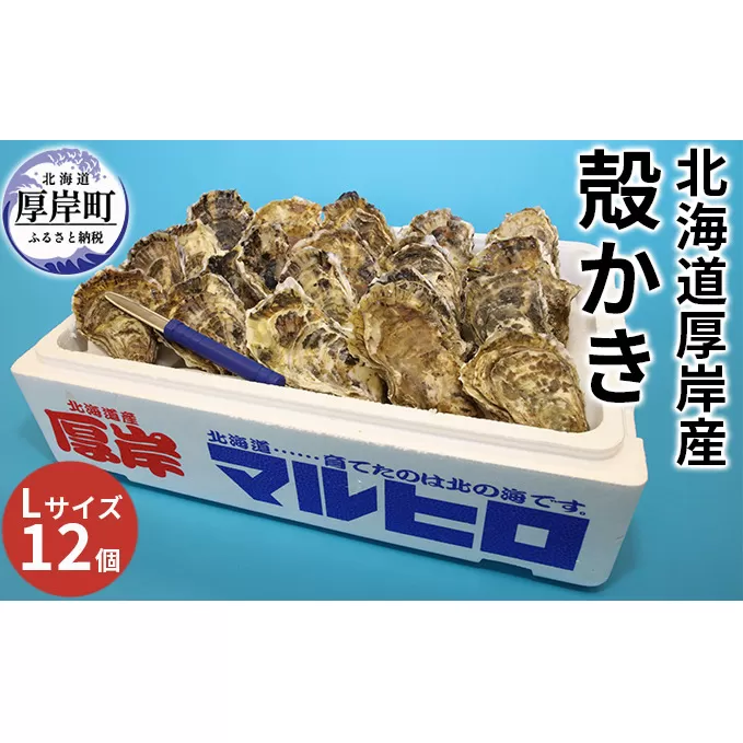 厚岸産 殻かき L12個セット 北海道 牡蠣 カキ かき 生牡蠣 殻付 魚貝類 淡水 豊富 栄養 蓄え 美味しい たっぷり 大きい マルえもん