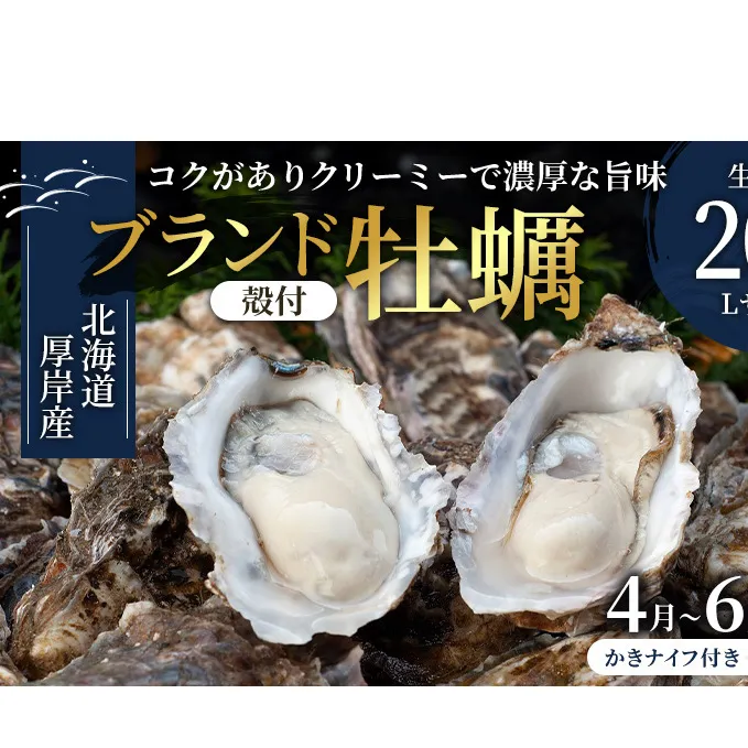 2026年4月～6月配送 厚岸産　殻付カキ Lサイズ20個（生食用）牡蠣 魚貝類 海鮮 海の幸 生食用牡蠣 オイスター 厚岸産生牡蠣 マルえもん