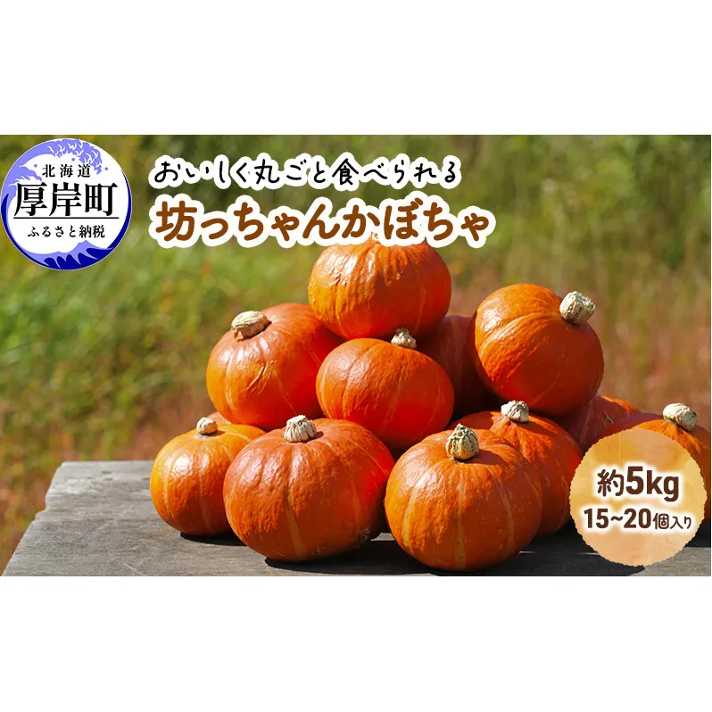 厚岸ハスカ 坊ちゃんかぼちゃ 約5kg（15～20個入り）