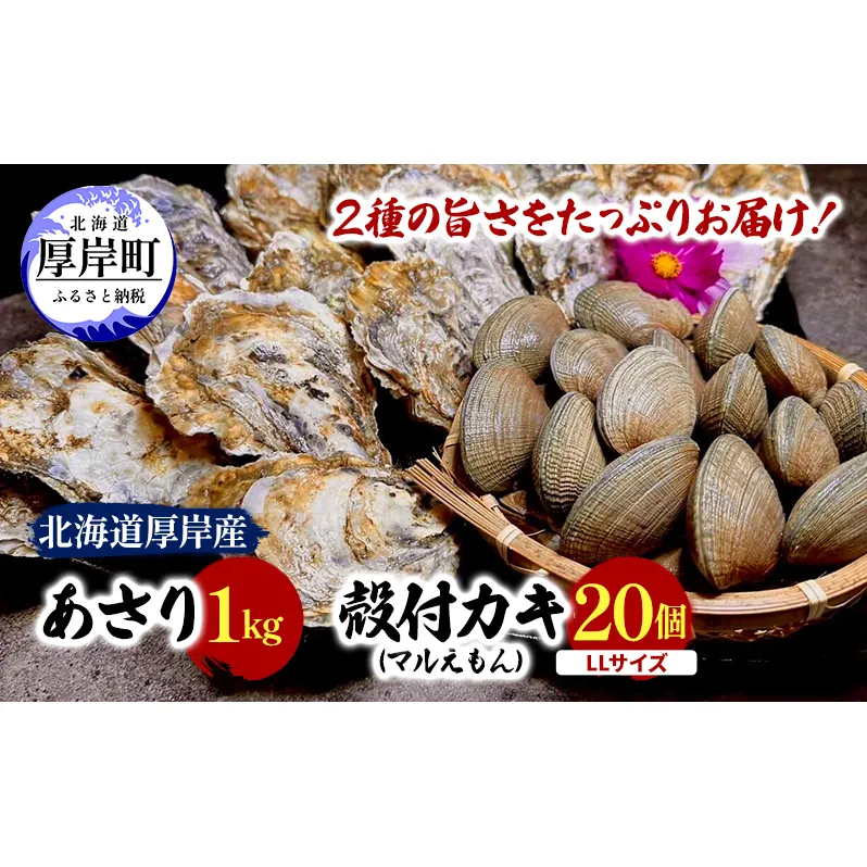 北海道 厚岸産 砂抜き済み あさり 1kg ＆ ブランド牡蠣 マルえもん 殻付き LLサイズ 20個 【光輝】 [ 魚貝類 海鮮 海の幸 みそ汁 酒蒸し アサリバタ 産地直送 生食用牡蠣 生食用 牡蠣 カキ ］