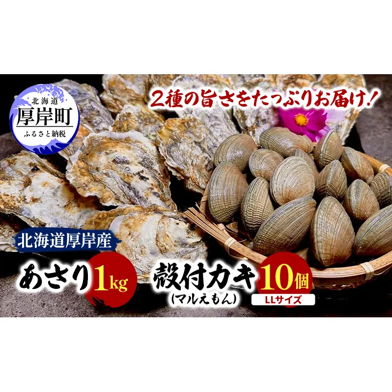 北海道 厚岸産 砂抜き済み あさり 1kg ＆ ブランド牡蠣 マルえもん 殻付き LLサイズ 10個 【光輝】 [ 魚貝類 海鮮 海の幸 みそ汁 酒蒸し アサリバタ 産地直送 生食用牡蠣 生食用 牡蠣 カキ ］