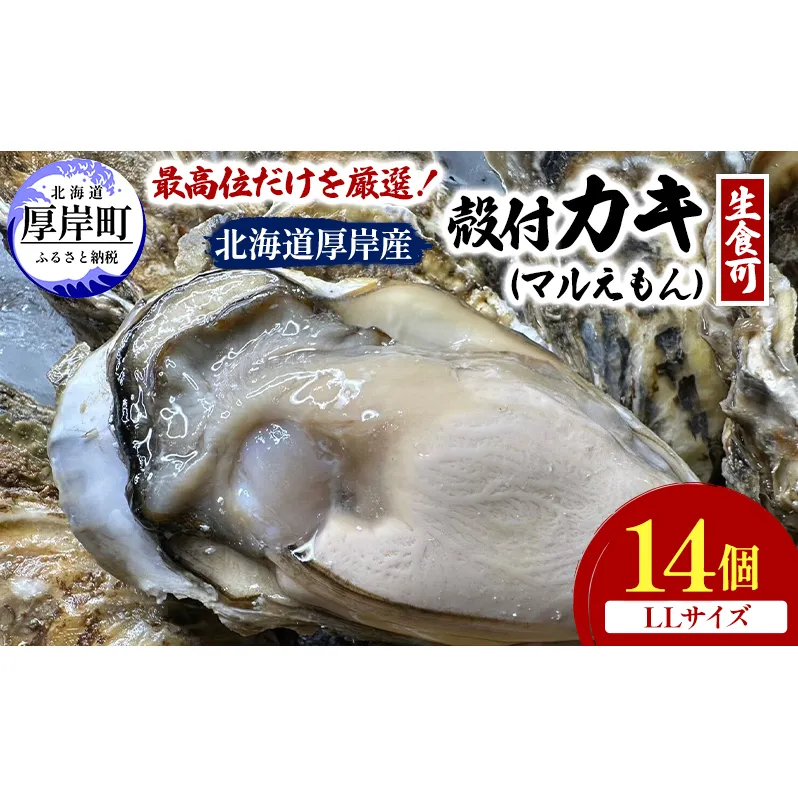 北海道 厚岸産 ブランド牡蠣 マルえもん 殻付き 牡蠣 LLサイズ 14個 【光輝】 [ 魚貝類 生牡蠣 海鮮 海の幸 生食用牡蠣 生食用 生食用殻付き牡蠣 濃厚 甘み  オイスター ]