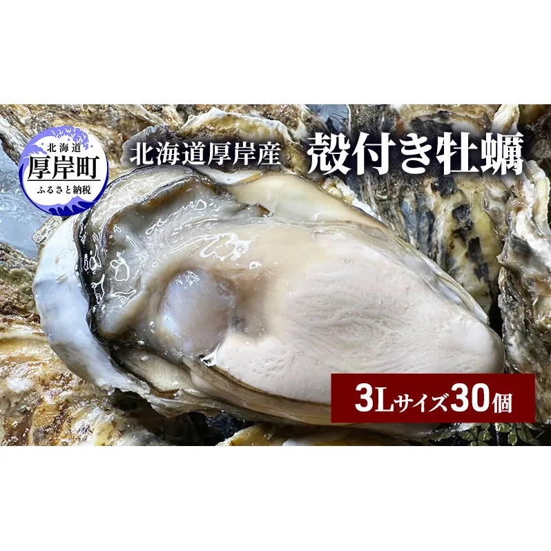 北海道 厚岸産 殻付き 牡蠣 3Lサイズ 30個