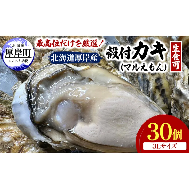 北海道 厚岸産 ブランド牡蠣 マルえもん 殻付き 牡蠣 3Lサイズ 30個 【光輝】 [ 魚貝類 生牡蠣 海鮮 海の幸 生食用牡蠣 生食用 生食用殻付き牡蠣 濃厚 甘み  オイスター ]