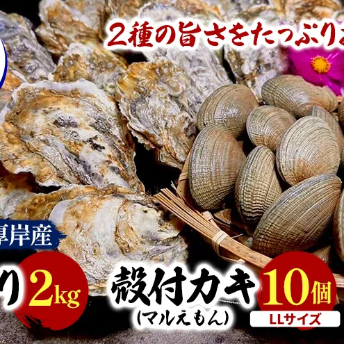 北海道 厚岸産 砂抜き済み あさり 2kg ＆ ブランド牡蠣 マルえもん 殻付き LLサイズ 10個 【光輝】 [ 魚貝類 海鮮 海の幸 みそ汁 酒蒸し アサリバタ 産地直送 生食用牡蠣 生食用 牡蠣 カキ ］