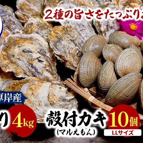北海道 厚岸産 砂抜き済み あさり 4kg ＆ ブランド牡蠣 マルえもん 殻付き LLサイズ 10個 【光輝】 [ 魚貝類 海鮮 海の幸 みそ汁 酒蒸し アサリバタ 産地直送 生食用牡蠣 生食用 牡蠣 カキ ］