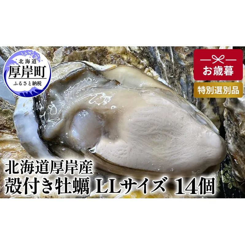北海道 厚岸産 殻付き 牡蠣 LLサイズ 14個 お歳暮 特別選別品