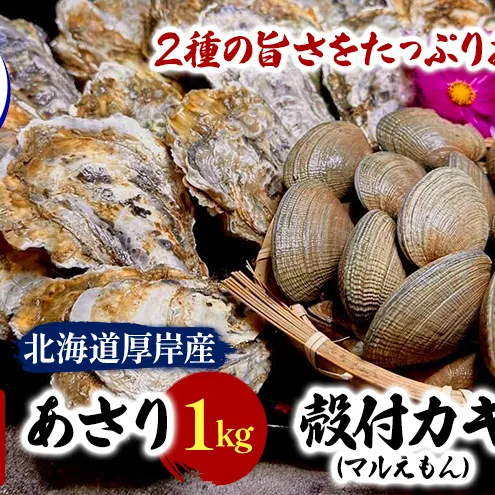 【お歳暮】北海道 厚岸産 砂抜き済み あさり 1kg ＆ ブランド牡蠣 マルえもん 殻付き LLサイズ 20個 【光輝】 [ 魚貝類 海鮮 海の幸 みそ汁 酒蒸し アサリバタ 産地直送 生食用牡蠣 生食用 牡蠣 カキ