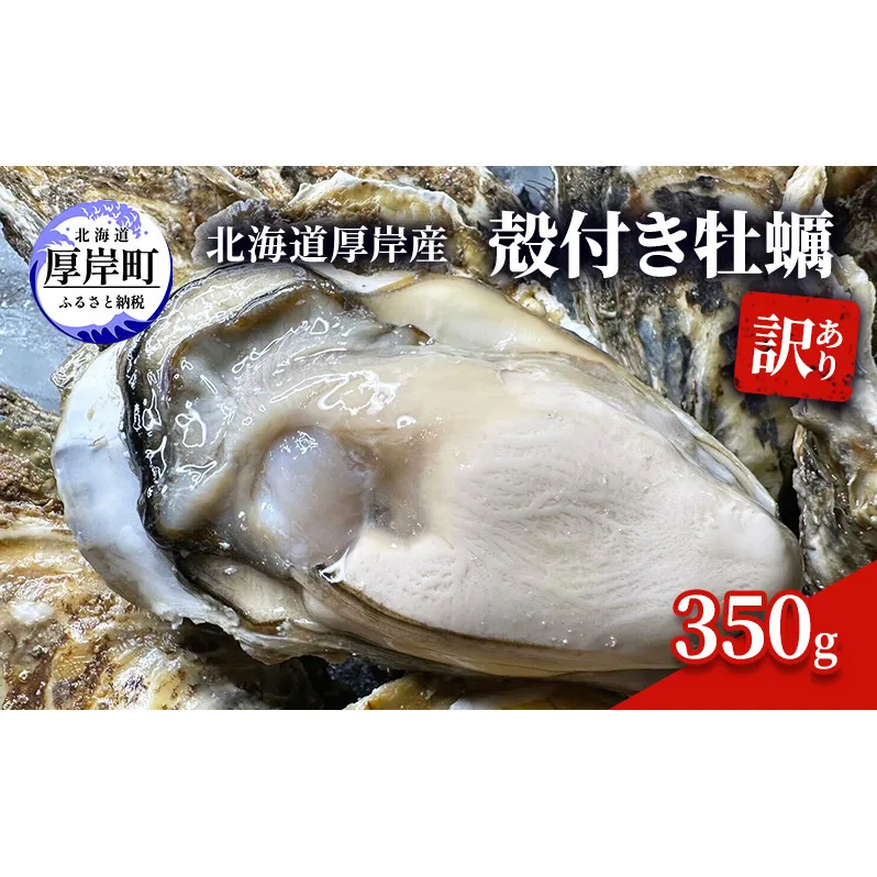 訳あり 北海道 厚岸産 殻付き 牡蠣 350g