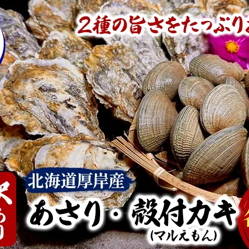 訳あり 北海道 厚岸産 砂抜き済み あさり & 殻付き 牡蠣  各500g 【光輝】 [ 魚貝類 海鮮 海の幸 みそ汁 酒蒸し アサリバタ 産地直送 生食用牡蠣 生食用 牡蠣 カキ ］