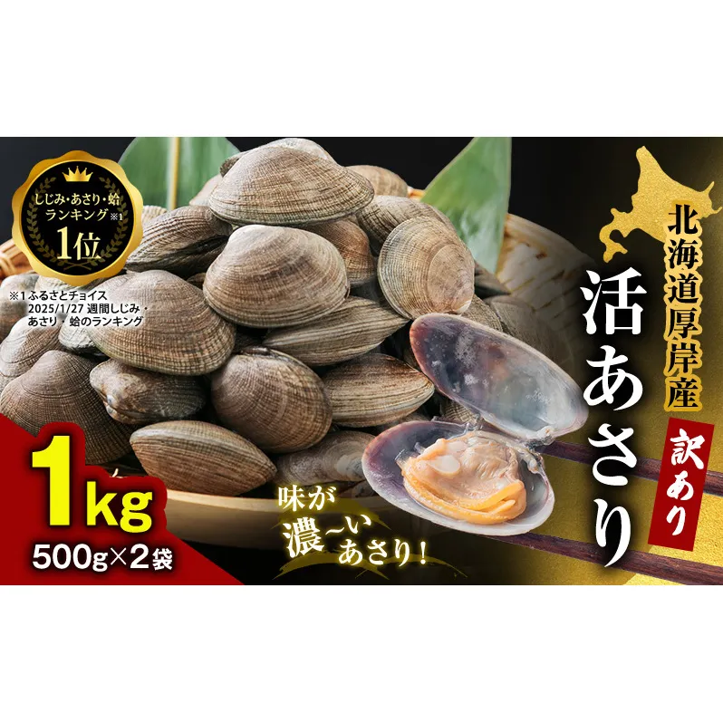 訳あり 北海道 厚岸産 砂出し済み 活あさり 500g×2 (合計1kg) 【厚岸海産】[ アサリ 魚貝 海鮮 大粒 美味しい 栄養 旨み 砂出し 水洗い 冷蔵 便利 ] 