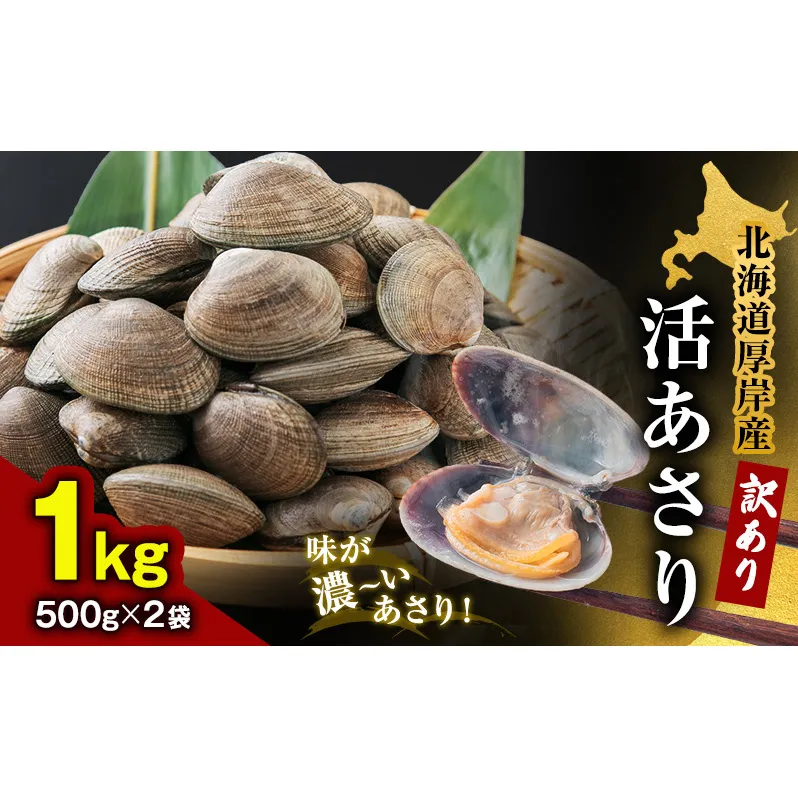 あさり 訳あり 北海道 厚岸産 砂出し済み 活あさり 500g×2 (合計1kg) 【厚岸海産】[ アサリ 魚貝 海鮮 大粒 美味しい 栄養 旨み 砂出し 水洗い 冷蔵 便利 ] 