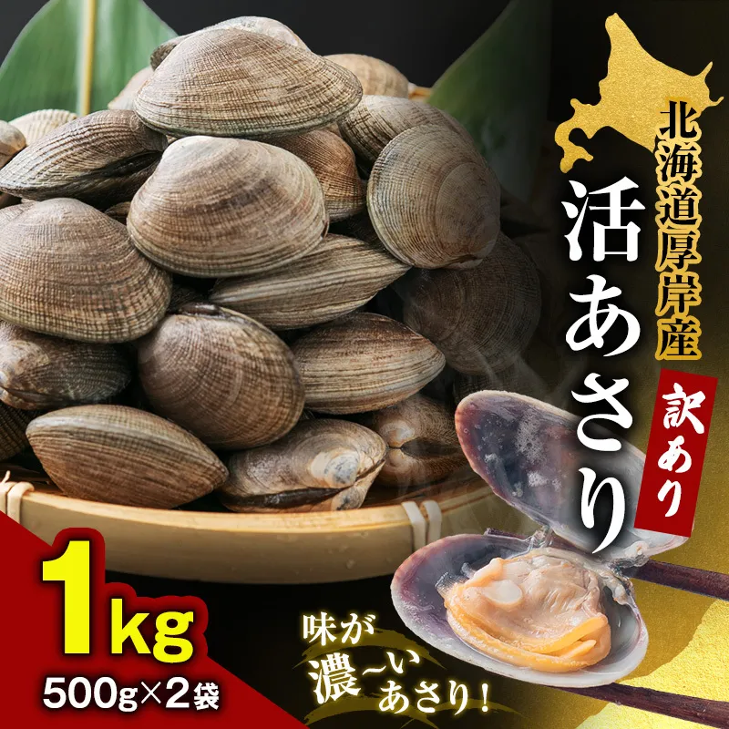 訳あり あさり 北海道 厚岸産 砂出し済み 活あさり 1kg(500g×2)【厚岸海産】[ アサリ 浅利 魚貝 海鮮 大粒 美味しい 栄養 旨み 砂出し 水洗い 冷蔵 便利 厚岸町 ]