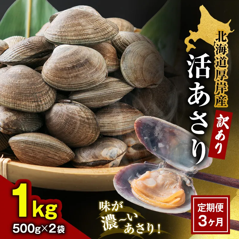 3ヵ月 定期便 訳あり あさり 北海道 厚岸産 砂出し済み 活あさり 1kg(500g×2)【厚岸海産】[ アサリ 浅利 魚貝 海鮮 大粒 美味しい 栄養 旨み 砂出し 水洗い 冷蔵 便利 厚岸町 ]