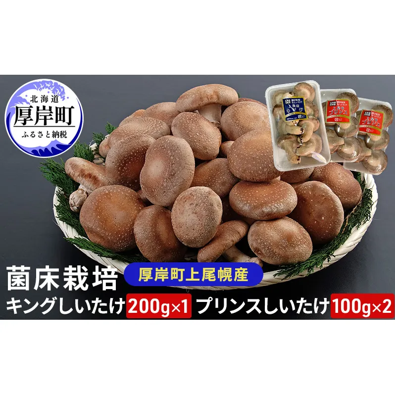 北海道産 厚岸町 上尾幌 菌床栽培 キングしいたけ 1パック プリンスしいたけ 2パック 