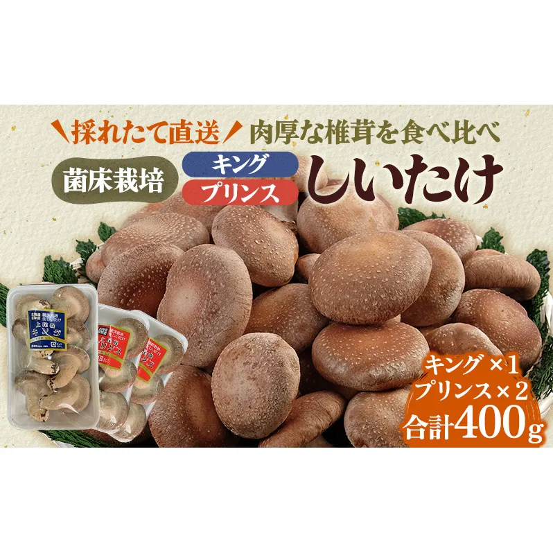 北海道産 厚岸町 上尾幌 菌床栽培 キングしいたけ 1パック プリンスしいたけ 2パック