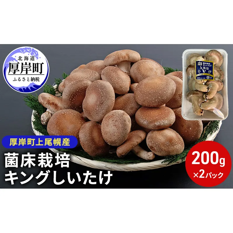 北海道産 厚岸町 上尾幌 菌床栽培 キングしいたけ 2パック