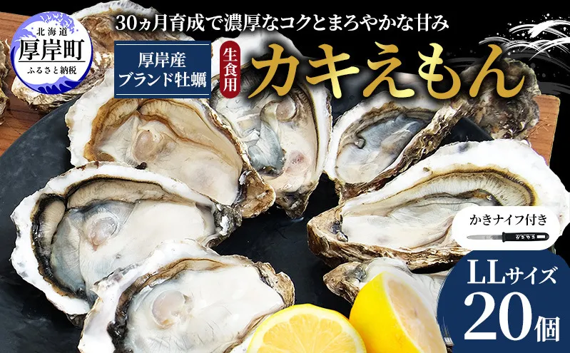 厚岸で産まれ30ヵ月育成 北海道 厚岸産 牡蠣 カキえもん LLサイズ 20個 カキ