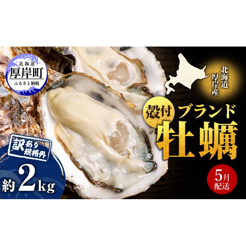 5月配送 訳あり ハーフ 規格外 牡蠣 北海道厚岸産 殻付カキ 約2kg（11～25個）カキナイフ付 生食 魚貝類 生牡蠣 かき 生カキ カキフライ マルえもん いびつな形 四季によって違う味わい コクがあり濃厚