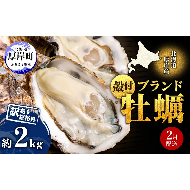2月配送 訳あり ハーフ 規格外 牡蠣 北海道厚岸産 殻付カキ 約2kg（11～25個）カキナイフ付 生食 魚貝類 生牡蠣 かき 生カキ カキフライ マルえもん いびつな形 四季によって違う味わい コクがあり濃厚