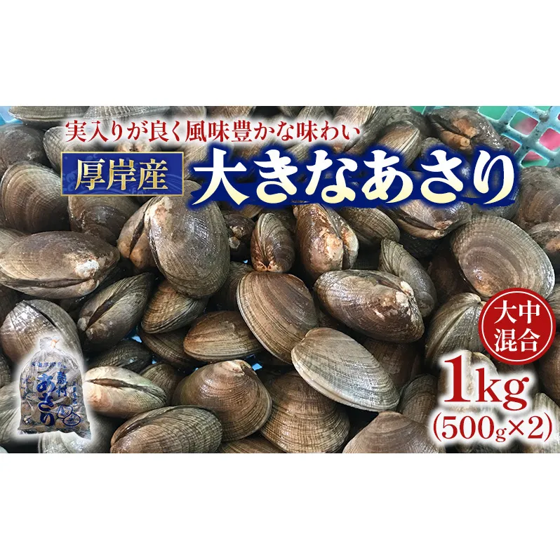 北海道 厚岸産 あさり 500g×2パック (合計1kg) 大中混合 アサリ 魚貝 海 美味しい 栄養 旨み 砂出し 水洗い 冷蔵 冷凍保存可能 便利