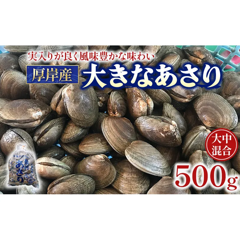 北海道 厚岸産 あさり 500g×1パック (合計500g) 大中混合 アサリ 魚貝 海 美味しい 栄養 旨み 砂出し 水洗い 冷蔵 冷凍保存可能 便利