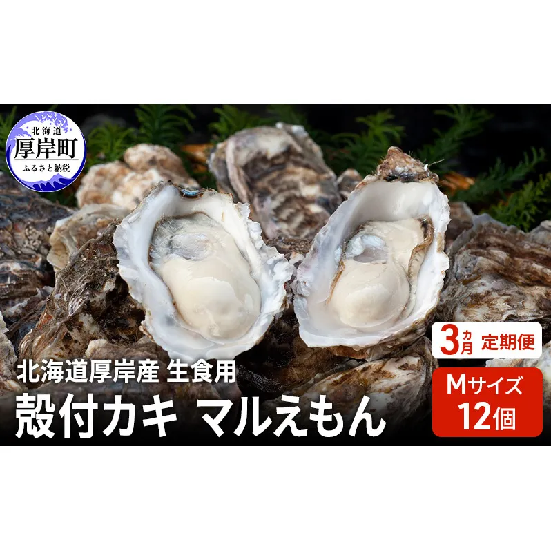 【 3ヵ月 定期便 】 北海道厚岸産 生食用 殻付カキ Mサイズ  12個　マルえもん 魚貝類 海の幸 海のミルク 海鮮 国産 北海道産 オイスター つまみ お酒 あて 肴 生牡蠣 メルマガ掲載商品1
