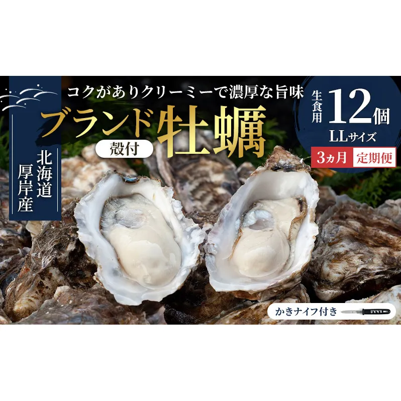 【 3ヵ月 定期便 】 北海道厚岸産 生食用 殻付カキ LLサイズ  12個　マルえもん 魚貝類 海の幸 海のミルク 海鮮 国産 北海道産 オイスター つまみ お酒 あて 肴 生牡蠣 メルマガ掲載商品1