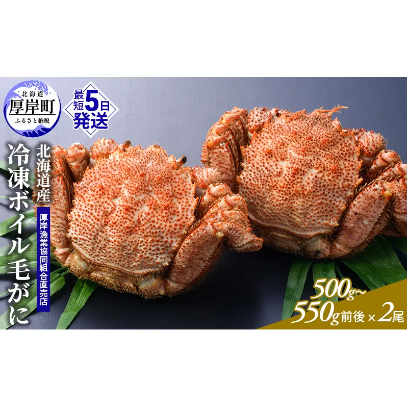 訳あり 3D冷凍 北海道産冷凍ボイル毛がに 500g～550g前後×2尾 [ 毛カニ 蟹 毛ガニ カニ かに ] 