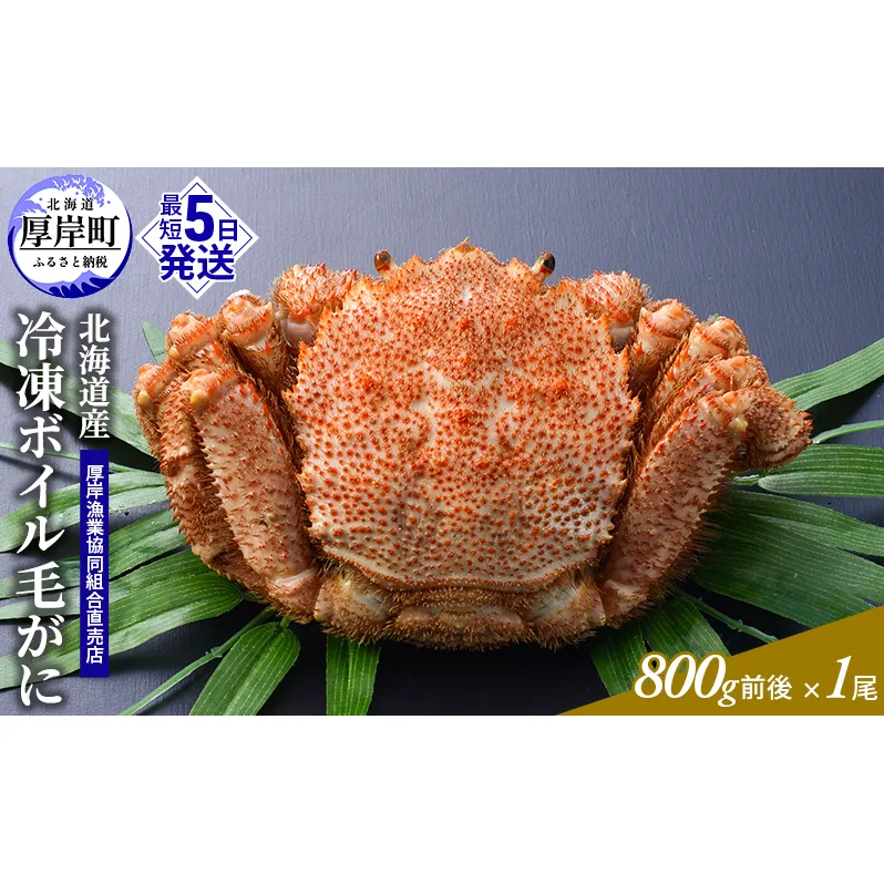 訳あり 3D冷凍 北海道産冷凍ボイル毛がに 800g前後×1尾 [ 毛カニ 蟹 毛ガニ カニ かに ] 
