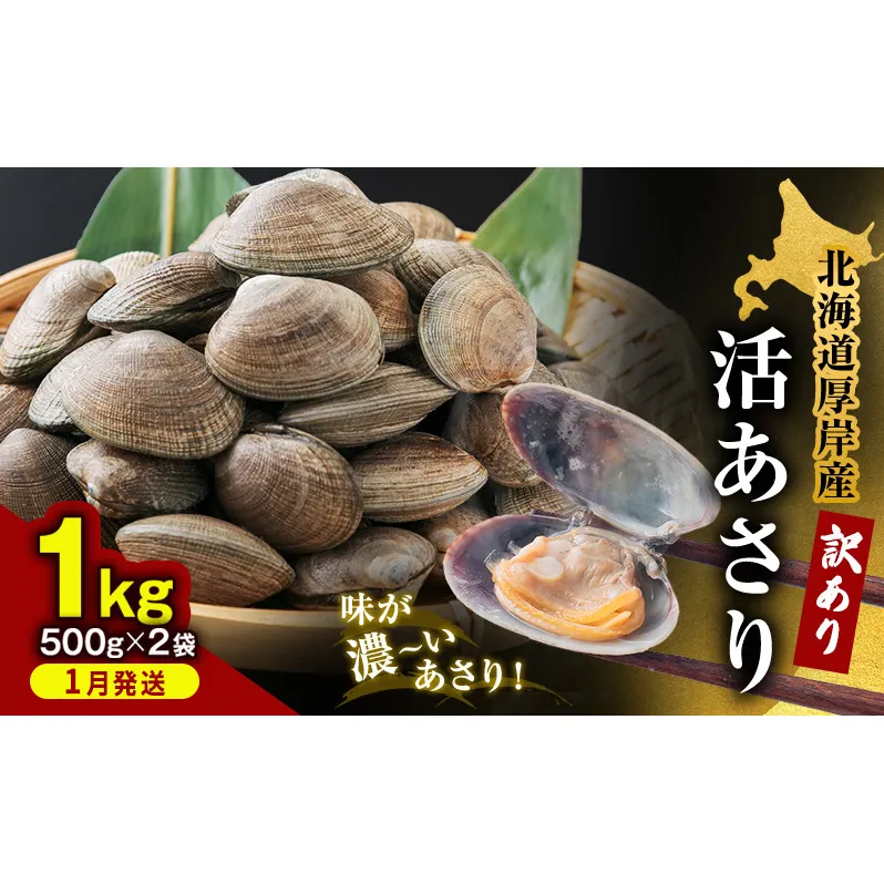 1月発送 北海道 厚岸産 訳あり 活あさり 500g×2 (合計1kg) アサリ 魚貝 海鮮 大粒 美味しい 栄養 旨み 砂出し 水洗い 冷蔵 冷凍保存可能 便利