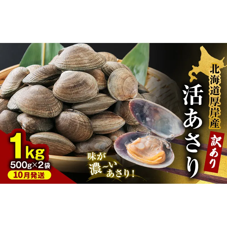 【5月1日以降寄付額改定↑】10月発送 北海道 厚岸産 訳あり 活あさり 500g×2 (合計1kg) アサリ 魚貝 海鮮 大粒 美味しい 栄養 旨み 砂出し 水洗い 冷蔵 冷凍保存可能 便利